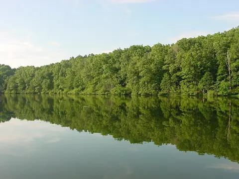 Pannen-Hinrichtung in Tennessee