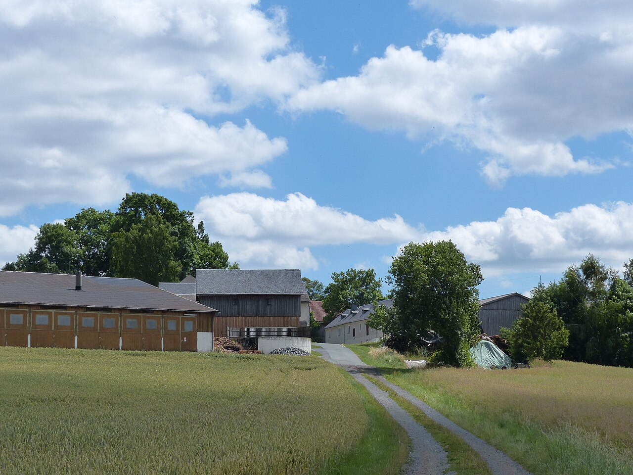 Schwingen ringt mit dem Geld
