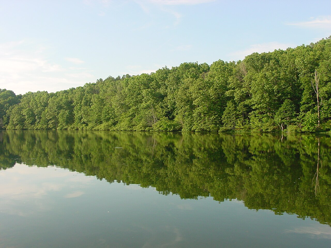 Pannen-Hinrichtung in Tennessee