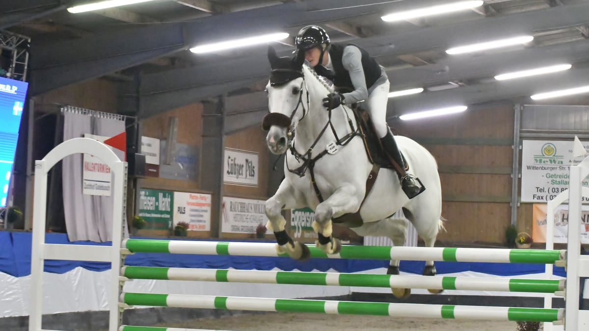 Springelite kommt nach Gadebusch